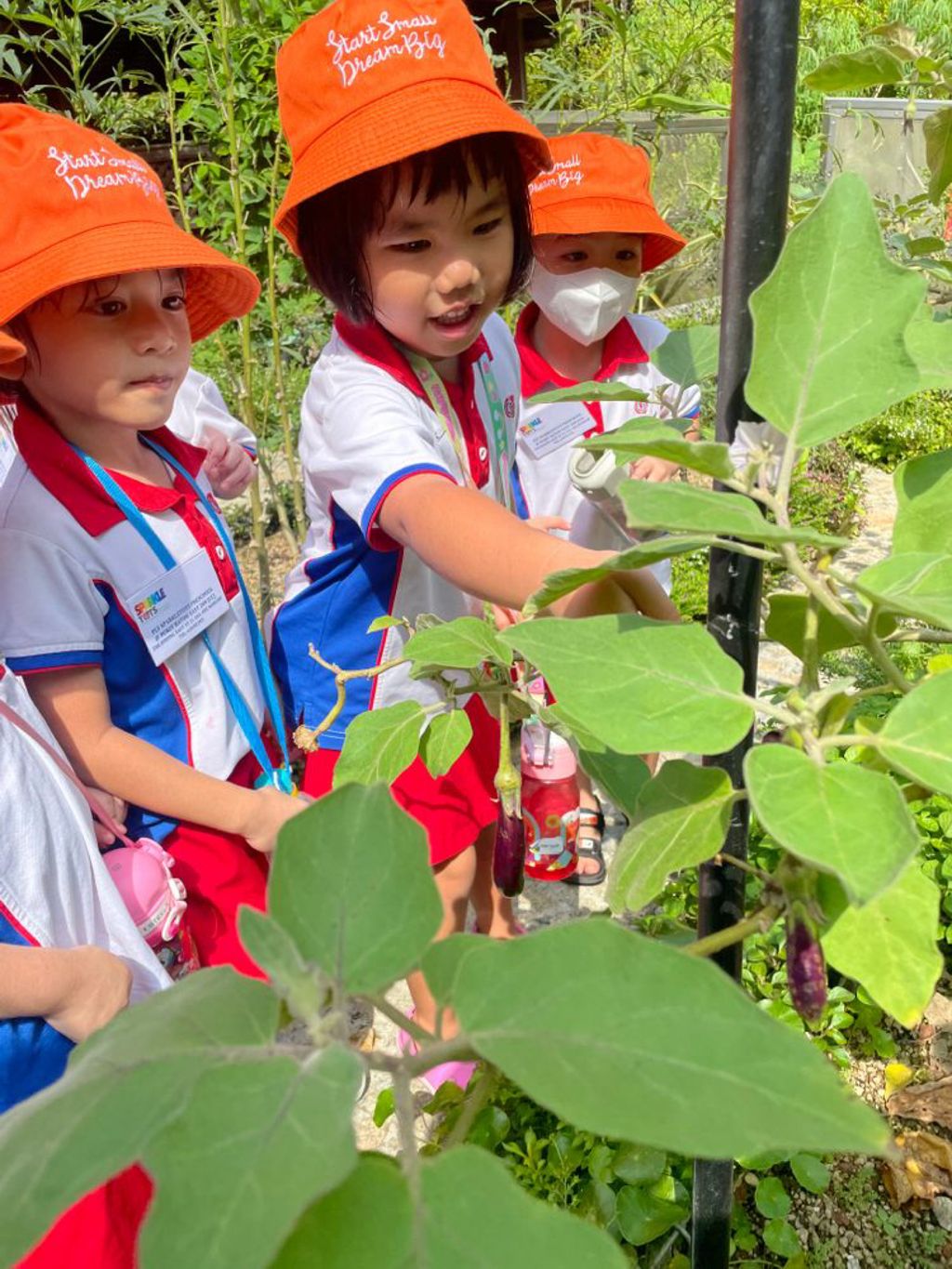 Planting a SEED of Kindness: Visit to Jacob Ballas Children’s Garden — photo 5