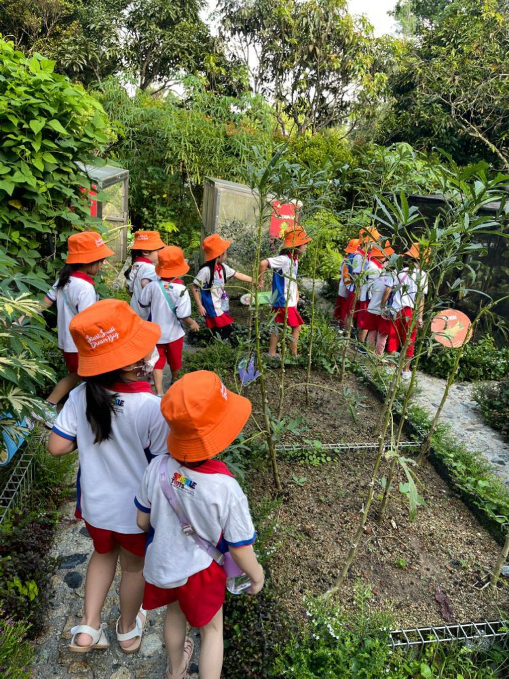 Planting a SEED of Kindness: Visit to Jacob Ballas Children’s Garden — photo 8