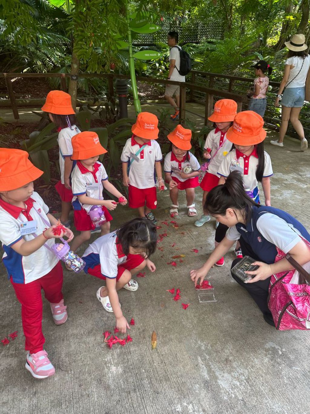 Planting a SEED of Kindness: Visit to Jacob Ballas Children’s Garden — photo 11