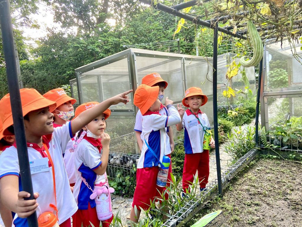 Planting a SEED of Kindness: Visit to Jacob Ballas Children’s Garden — photo 14