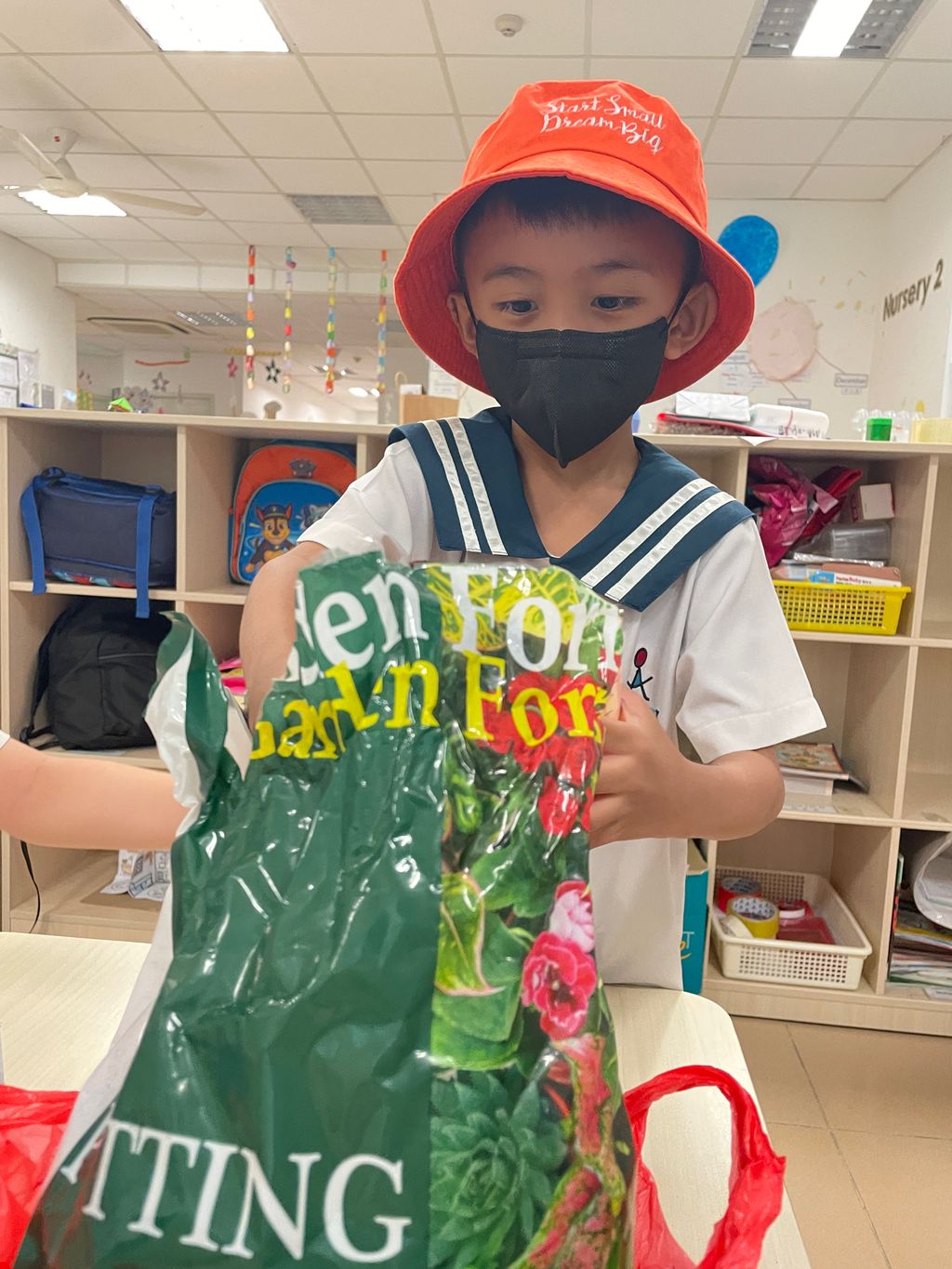 Bayam planting — photo 11