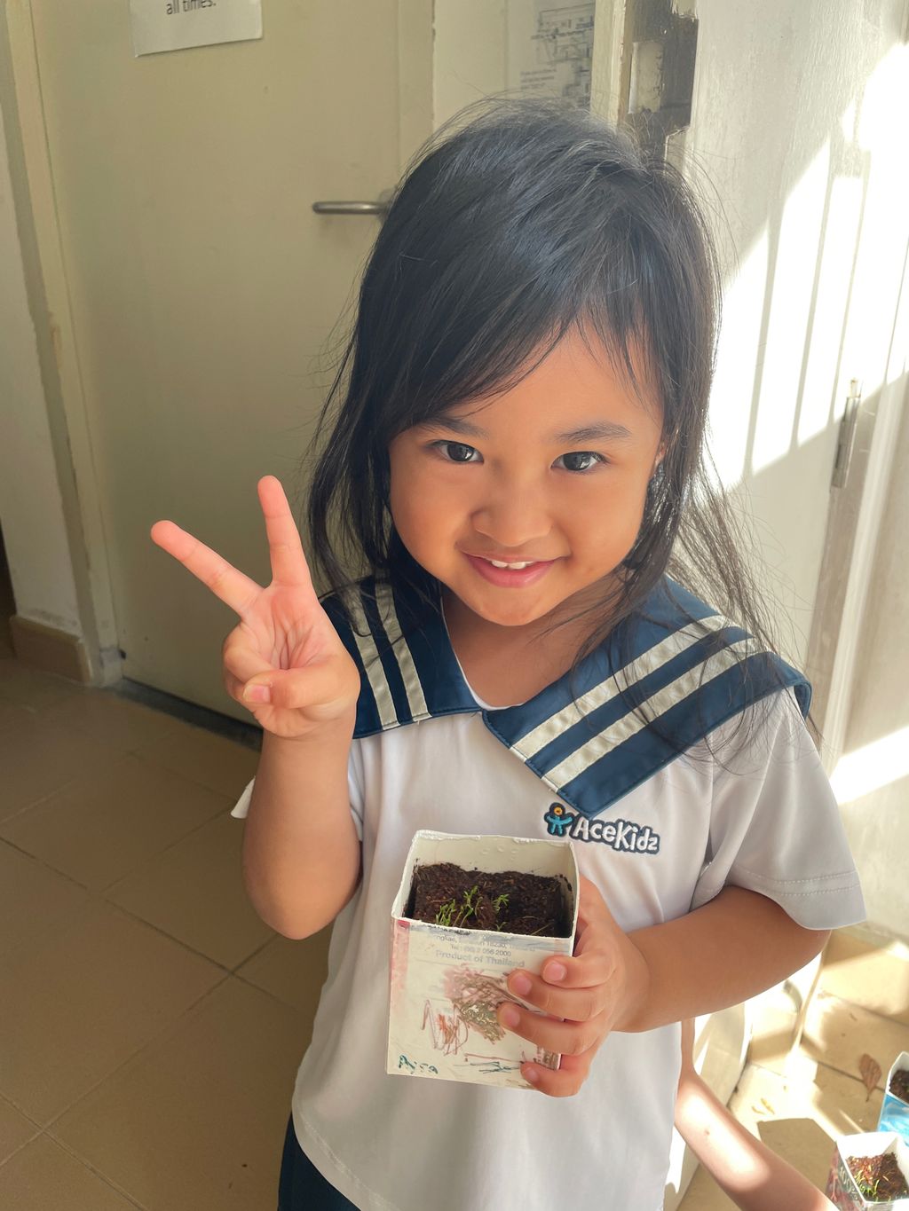 Grow our little Bayam
