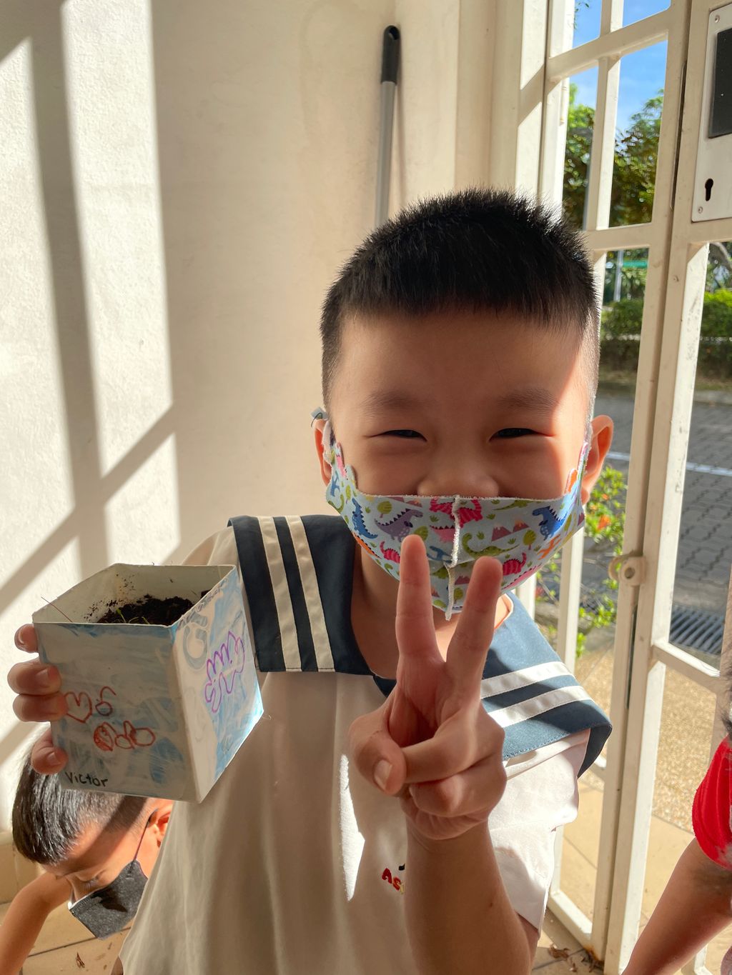 Grow our little Bayam — photo 3