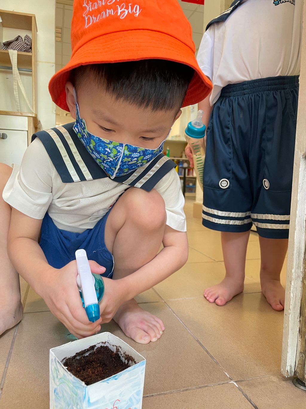 Grow our little Bayam — photo 5