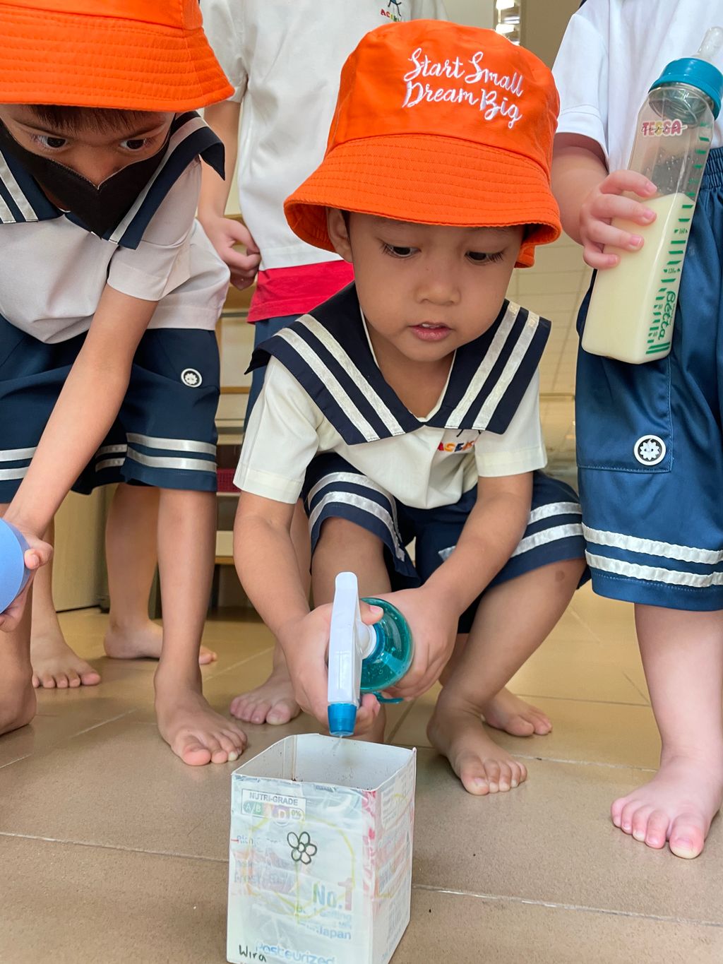 Grow our little Bayam — photo 7