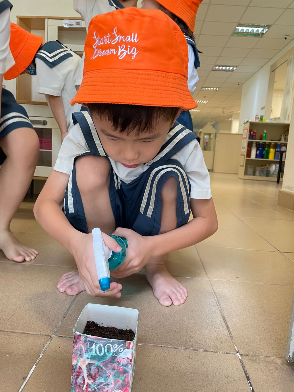 Grow our little Bayam — photo 9