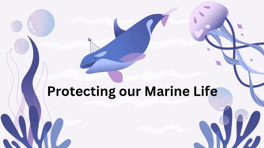 Embarking on our project: Protect our marine life