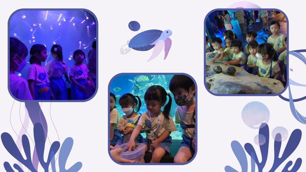Embarking on our project: Protect our marine life — photo 2