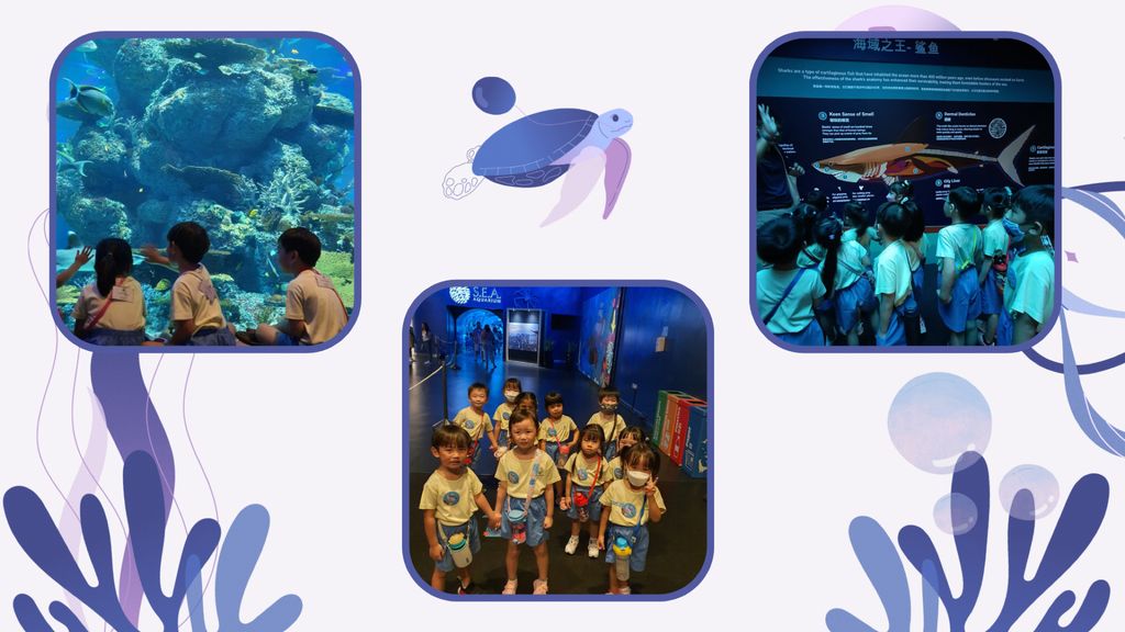 Embarking on our project: Protect our marine life — photo 3