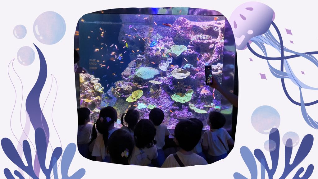 Embarking on our project: Protect our marine life — photo 4