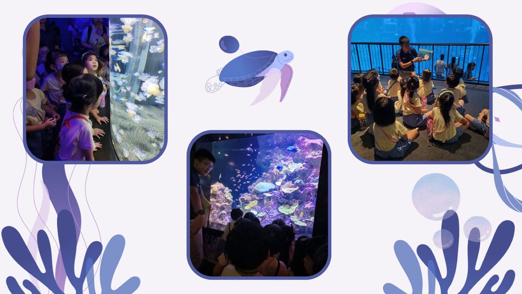 Embarking on our project: Protect our marine life — photo 6