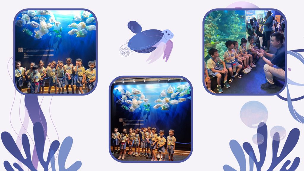 Embarking on our project: Protect our marine life — photo 7
