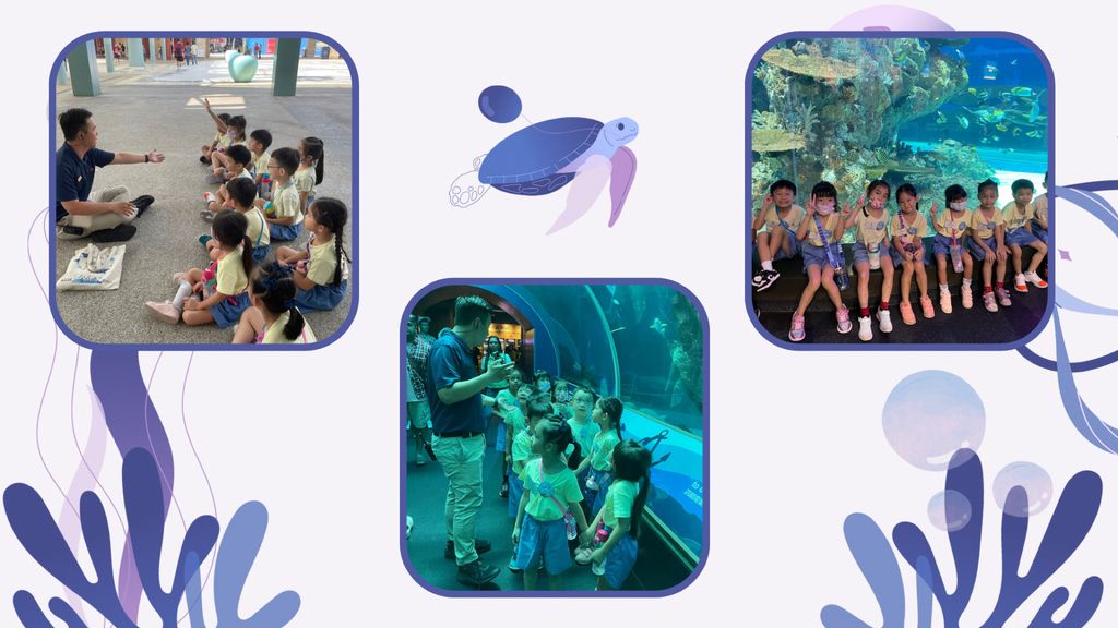 Embarking on our project: Protect our marine life — photo 8