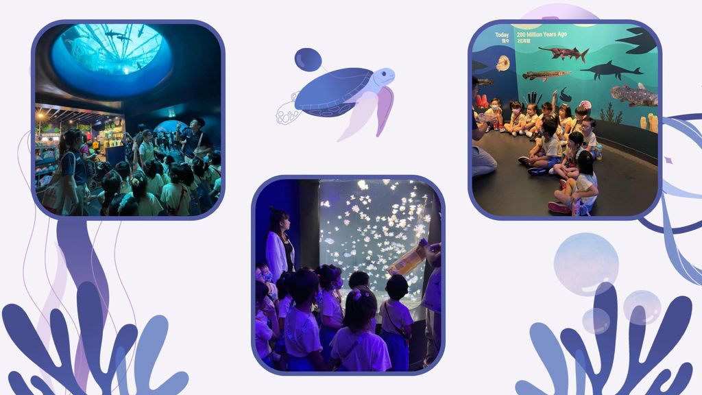 Embarking on our project: Protect our marine life — photo 9