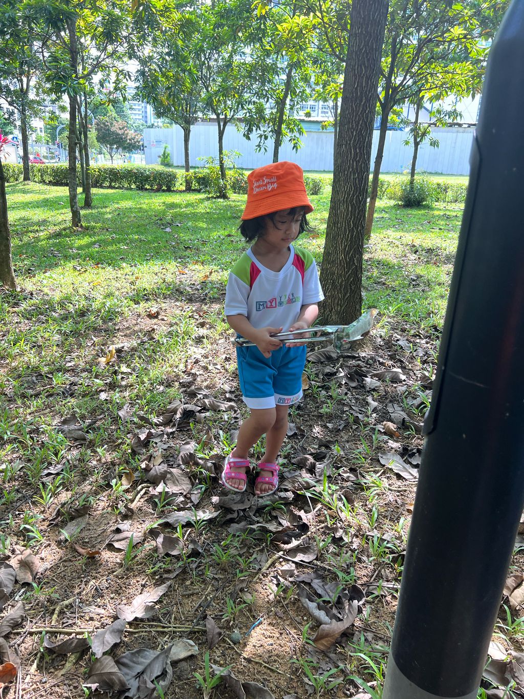 Little Environmental Ambassadors — photo 9