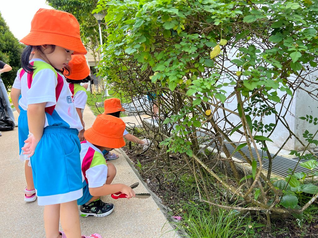 Little Environmental Ambassadors — photo 10