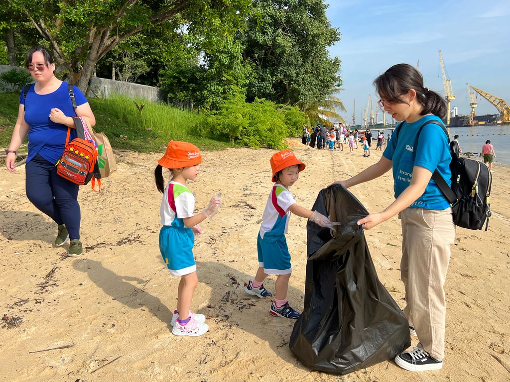 Beach cleanups