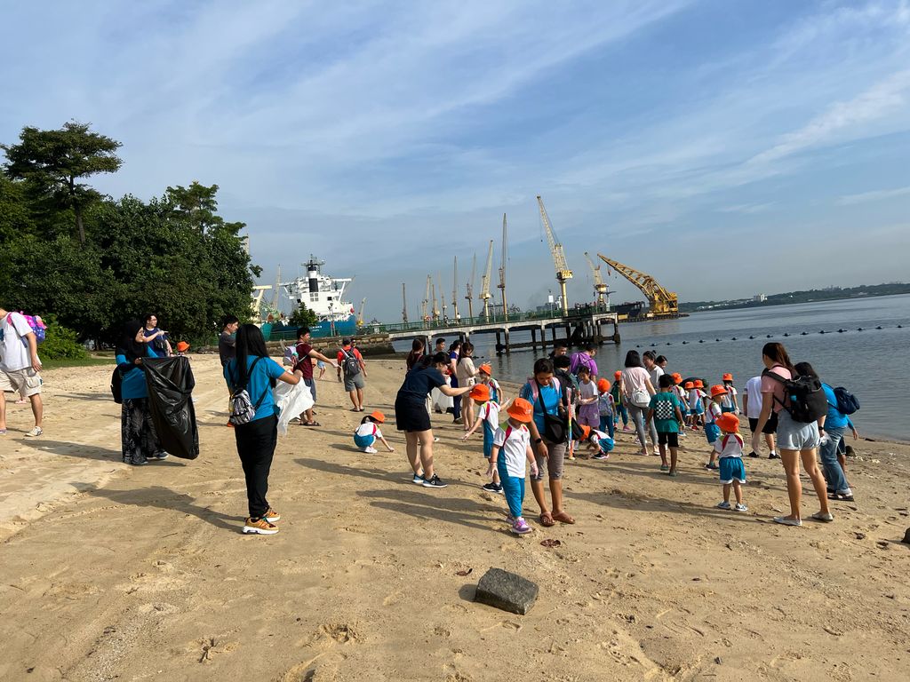 Beach cleanups — photo 3