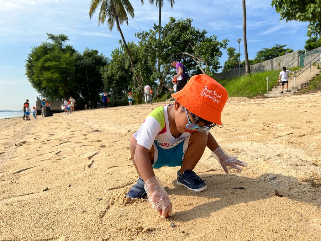 Beach cleanups — photo 5