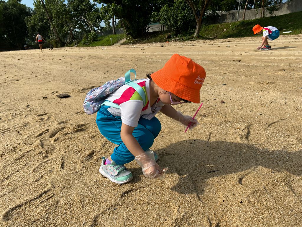 Beach cleanups — photo 9