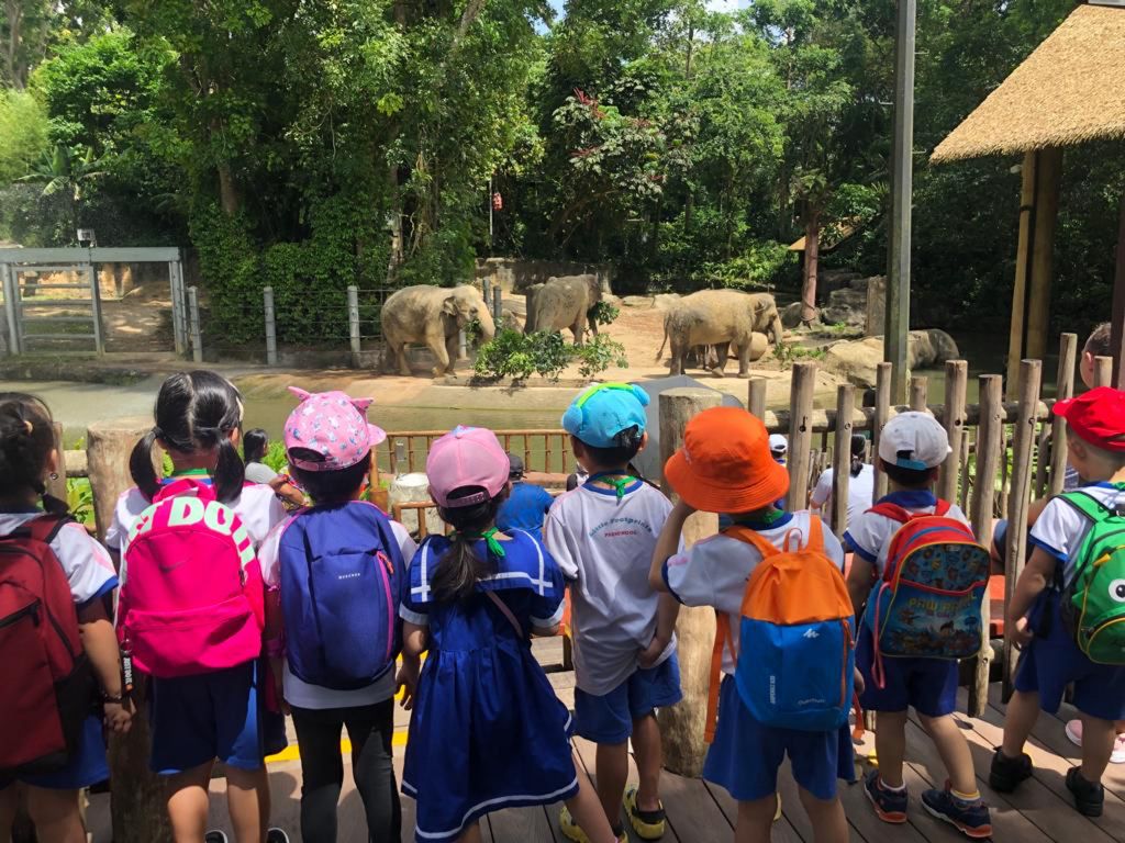 SSDB: Help Save Endangered Animals — photo 10