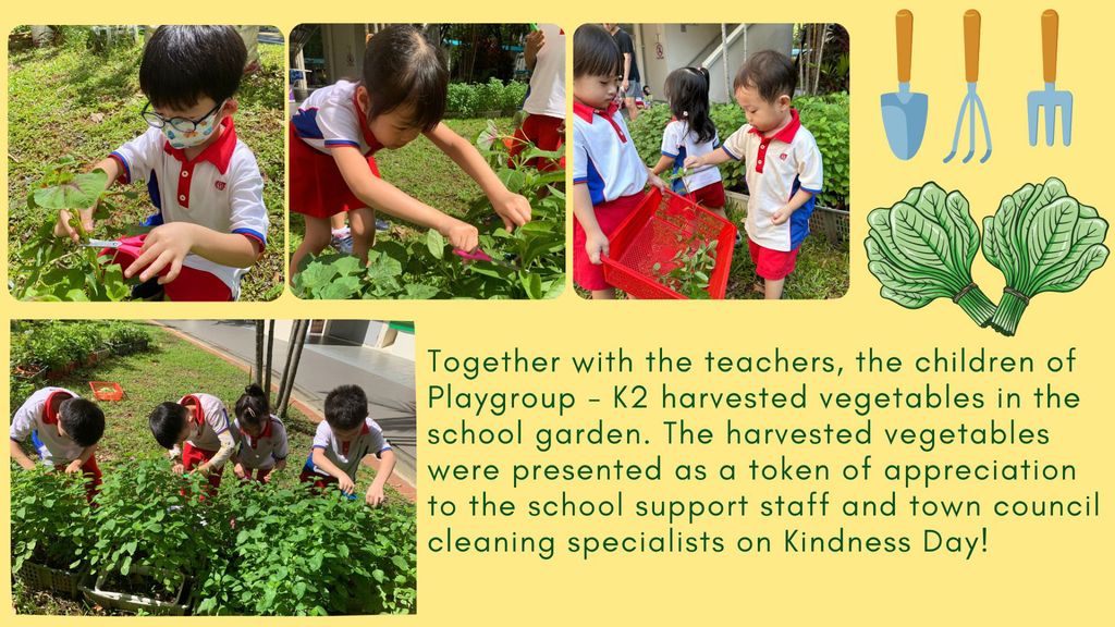 SSDB 2023: Growing with Love (Part II) — photo 3