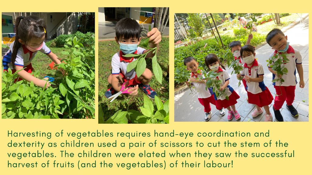 SSDB 2023: Growing with Love (Part II) — photo 4