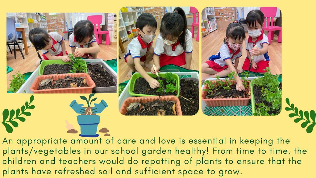 SSDB 2023: Growing with Love (Part II) — photo 5