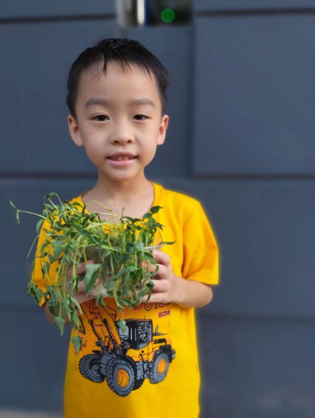 Growing my own food — photo 9