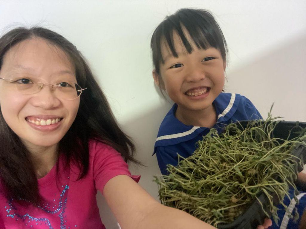 Growing my own food — photo 17