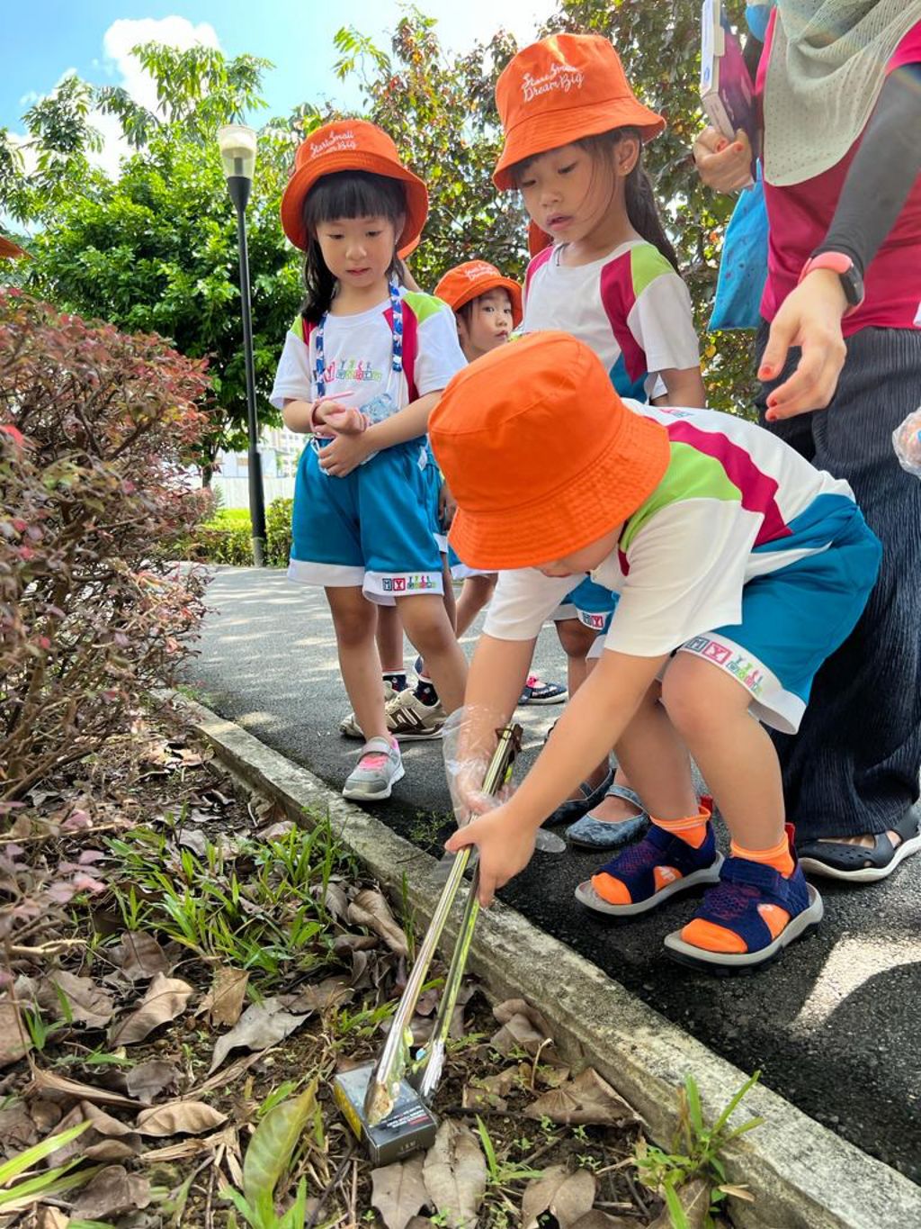 Stroll and Clean! — photo 9