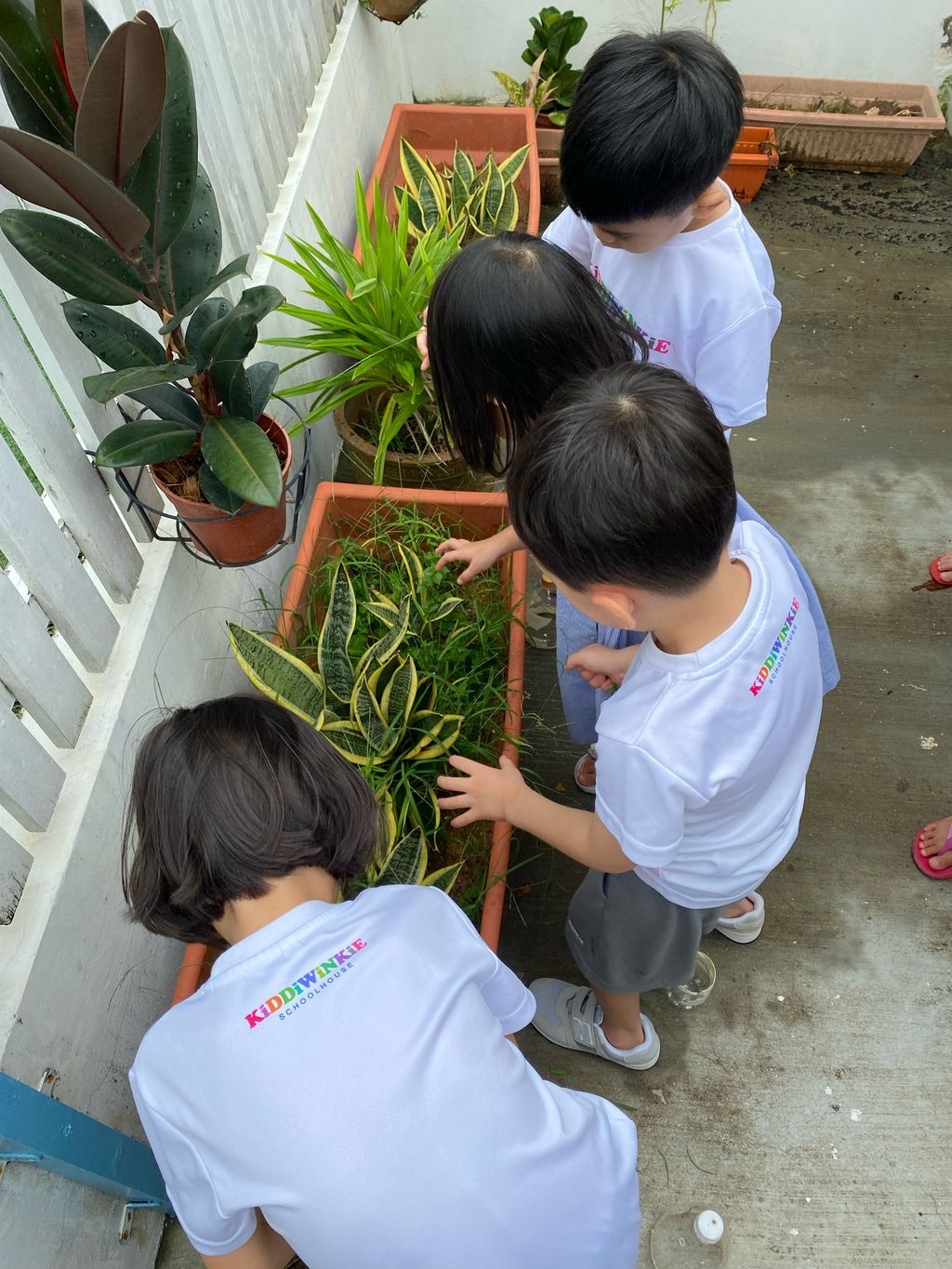 Making Room for Bloom — photo 2