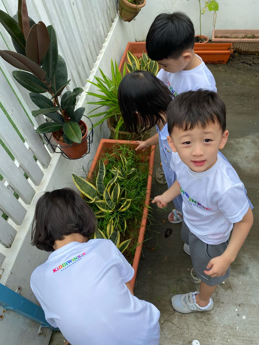 Making Room for Bloom — photo 6