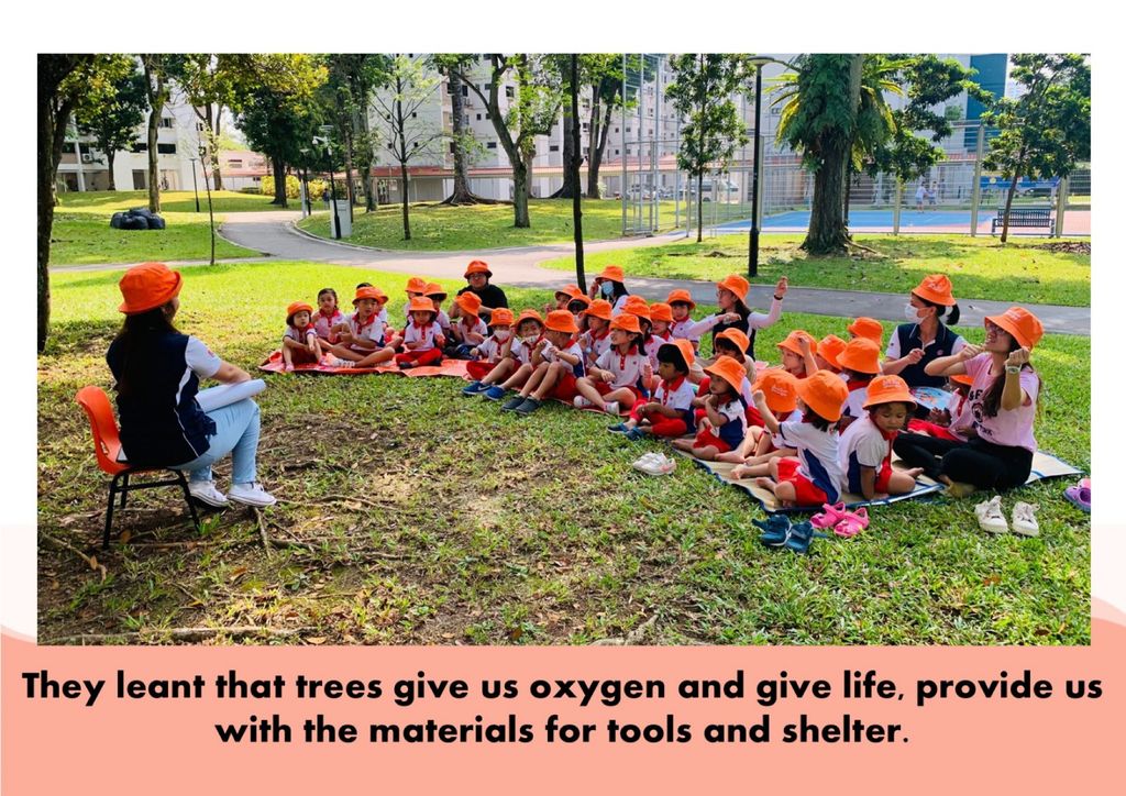 Caring Children : “The Giving Tree” — photo 3