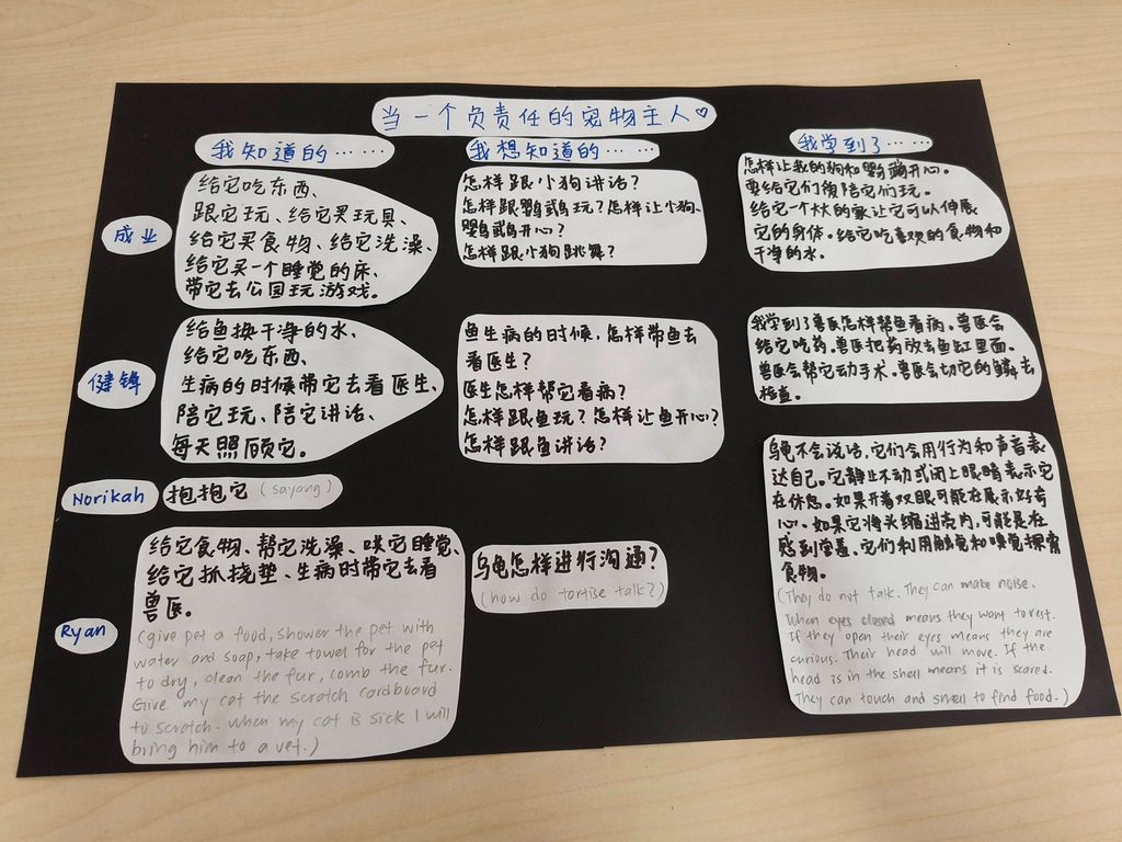 负责任的宠物主人 — photo 2