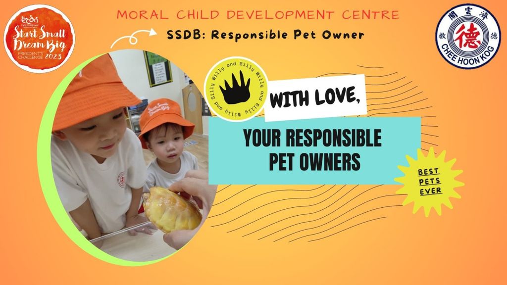 Our Small Responsible Pet Owners with Big Hearts! ❤️ (The ALBINO TERRAPINS)