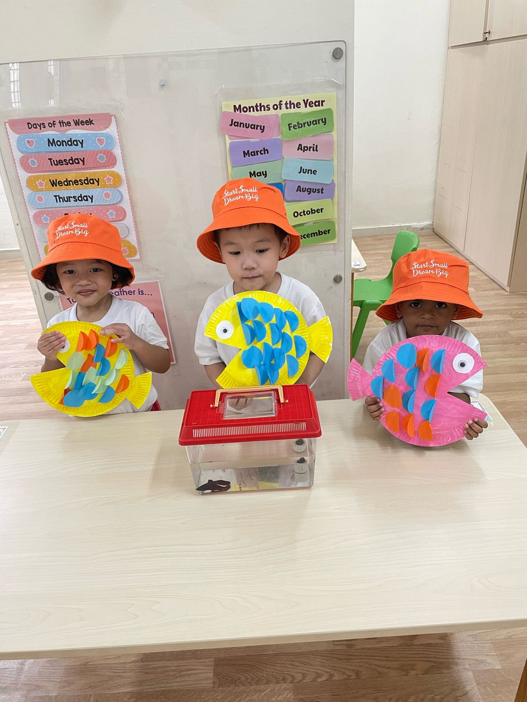 学习如何照顾宠物鱼,成为一个好主人 — photo 1