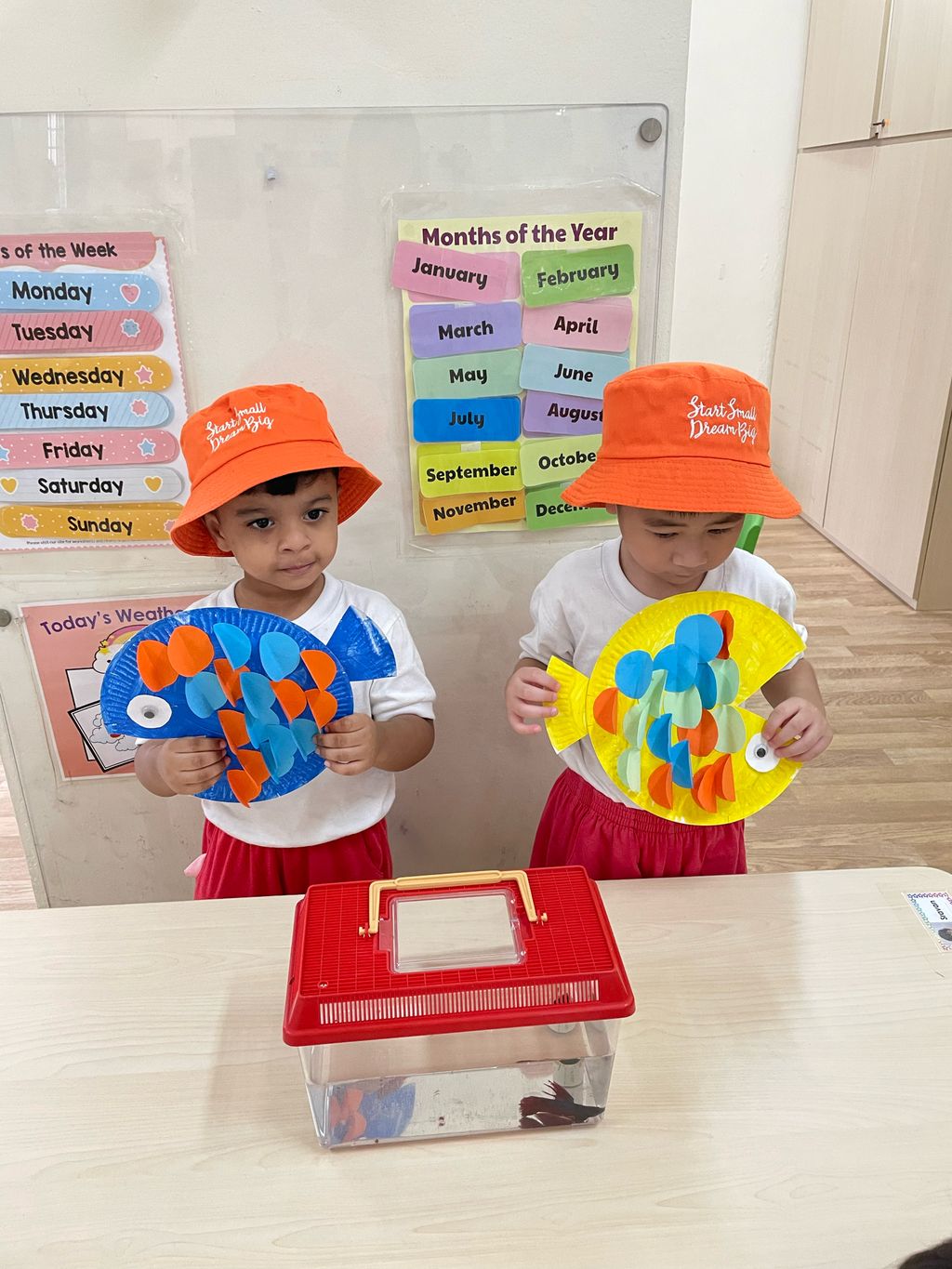 学习如何照顾宠物鱼,成为一个好主人 — photo 2