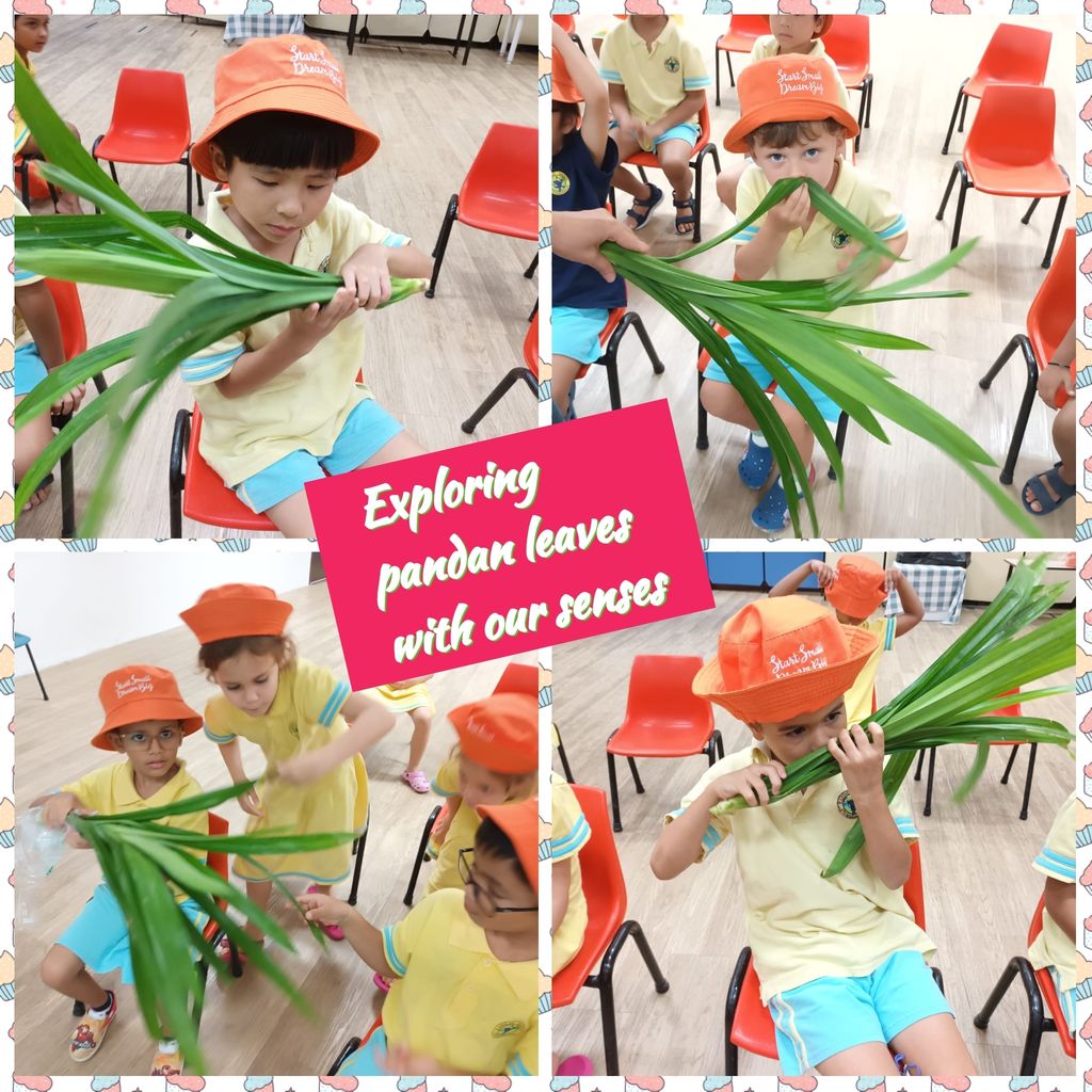 Eshkol Valley@PPCC 2023 SSDB Learning Story #4 - Pandan Drink Recipe for Mommy!