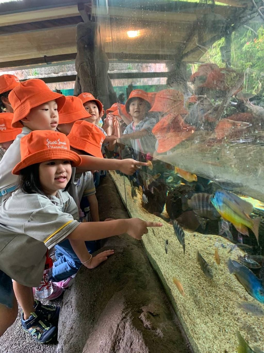 Star Learners @ Upper Bukit Timah: Heroes of the ocean 2023