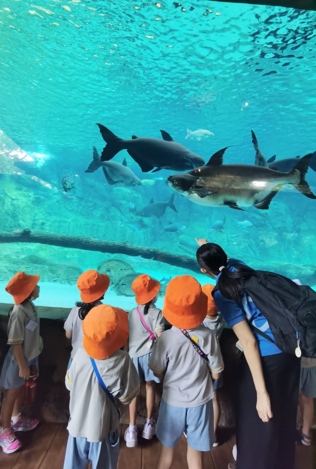 Star Learners @ Upper Bukit Timah: Heroes of the ocean 2023 — photo 2