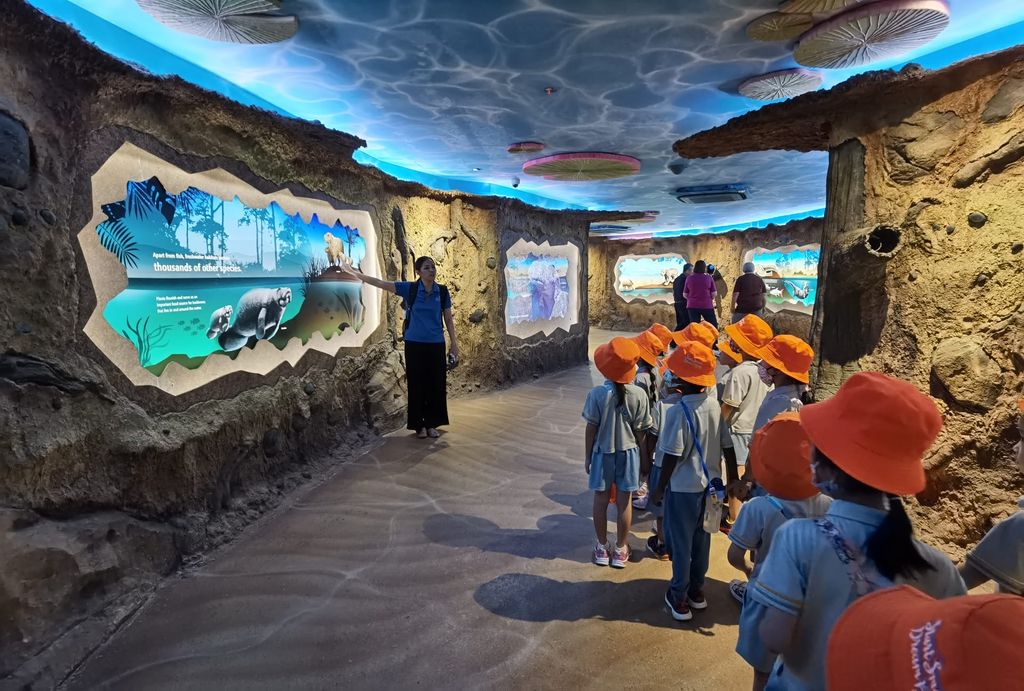 Star Learners @ Upper Bukit Timah: Heroes of the ocean 2023 — photo 3