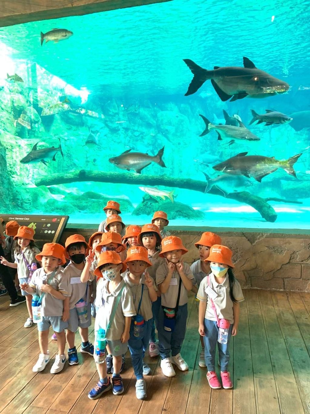 Star Learners @ Upper Bukit Timah: Heroes of the ocean 2023 — photo 4