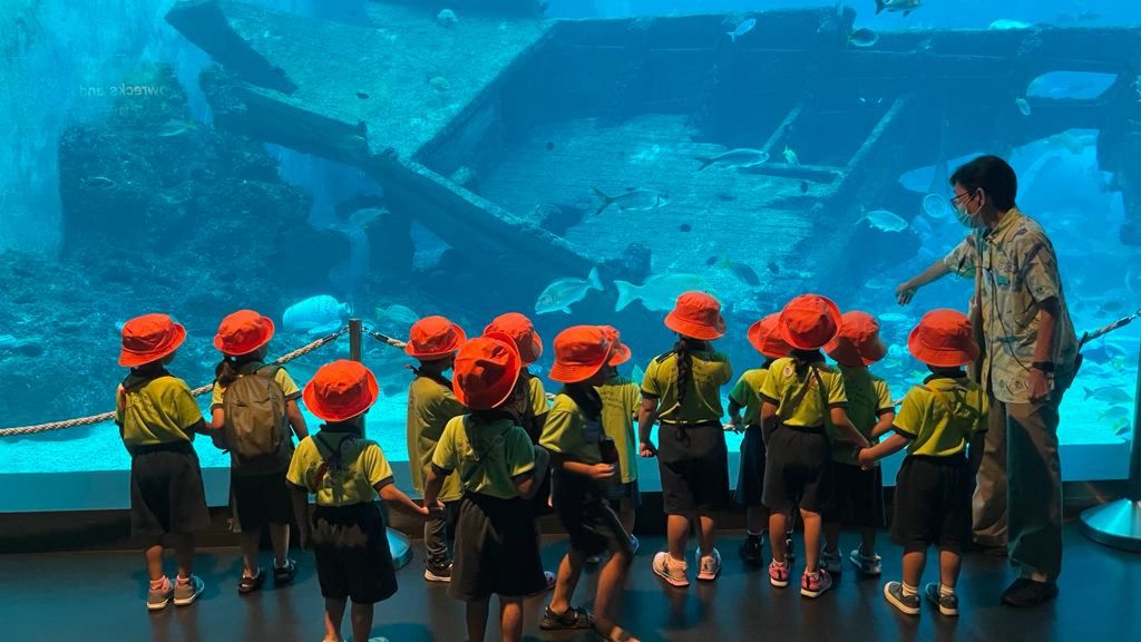 Sea Aquarium (Kidz Meadow @Bedok North) — photo 11
