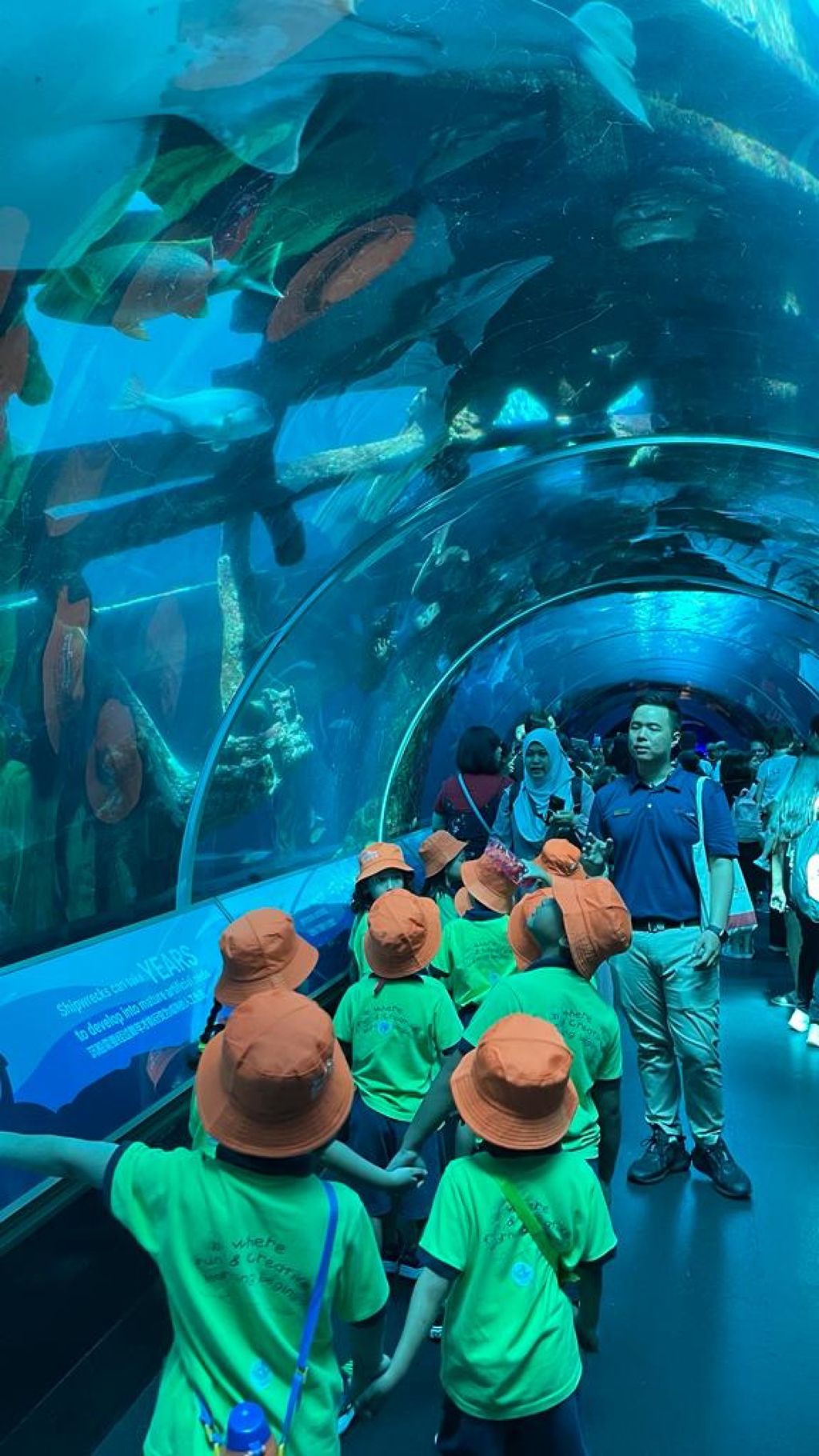 Sea Aquarium (Kidz Meadow @Bedok North) — photo 14