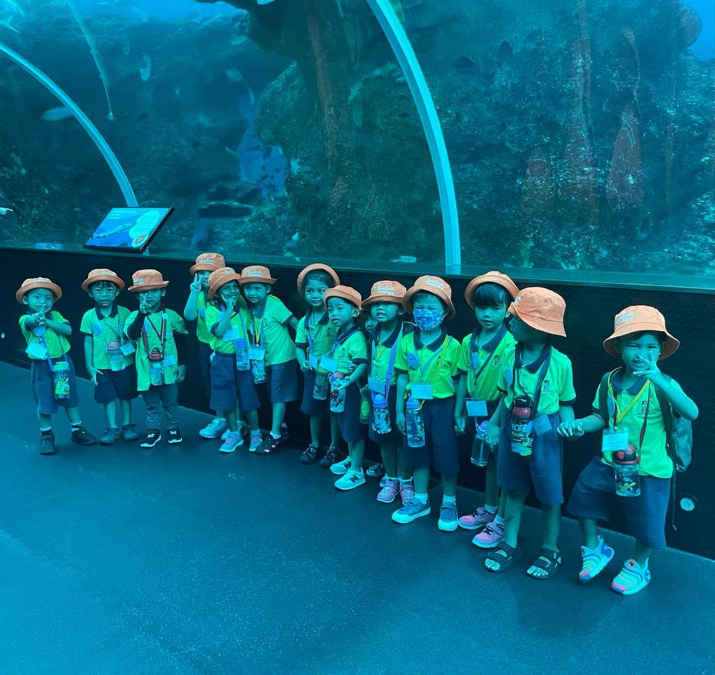 Sea Aquarium (Kidz Meadow @Bedok North) — photo 17