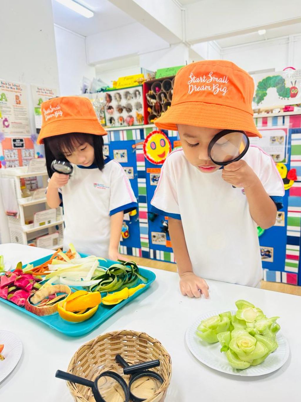 From Scraps to sprouts : Cultivating Sustainability through food waste and regrowth. — photo 4