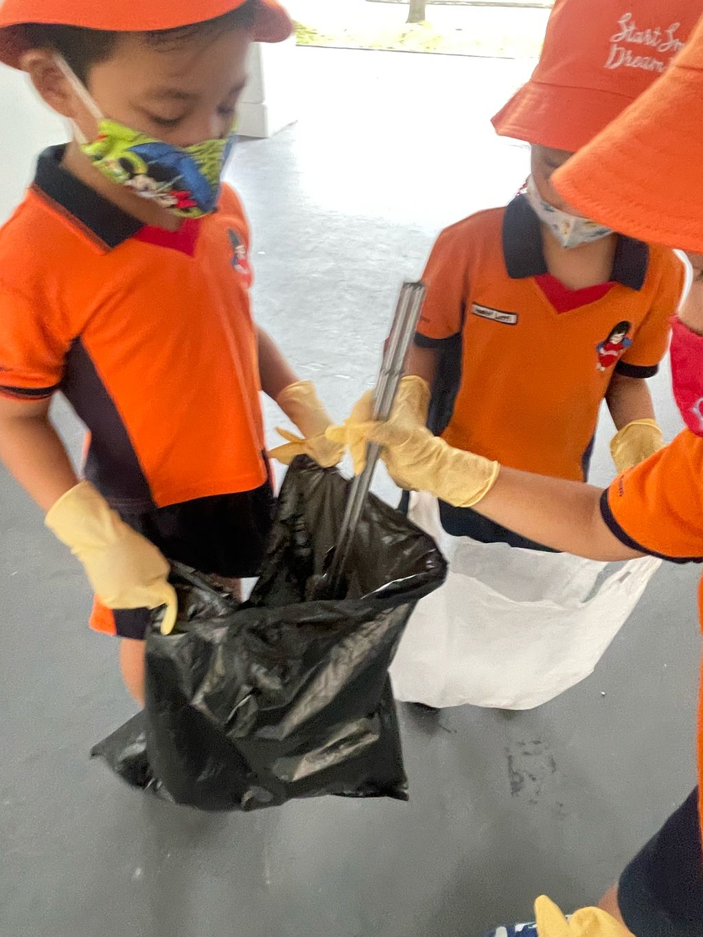 Keeping the environment clean & green! — photo 3