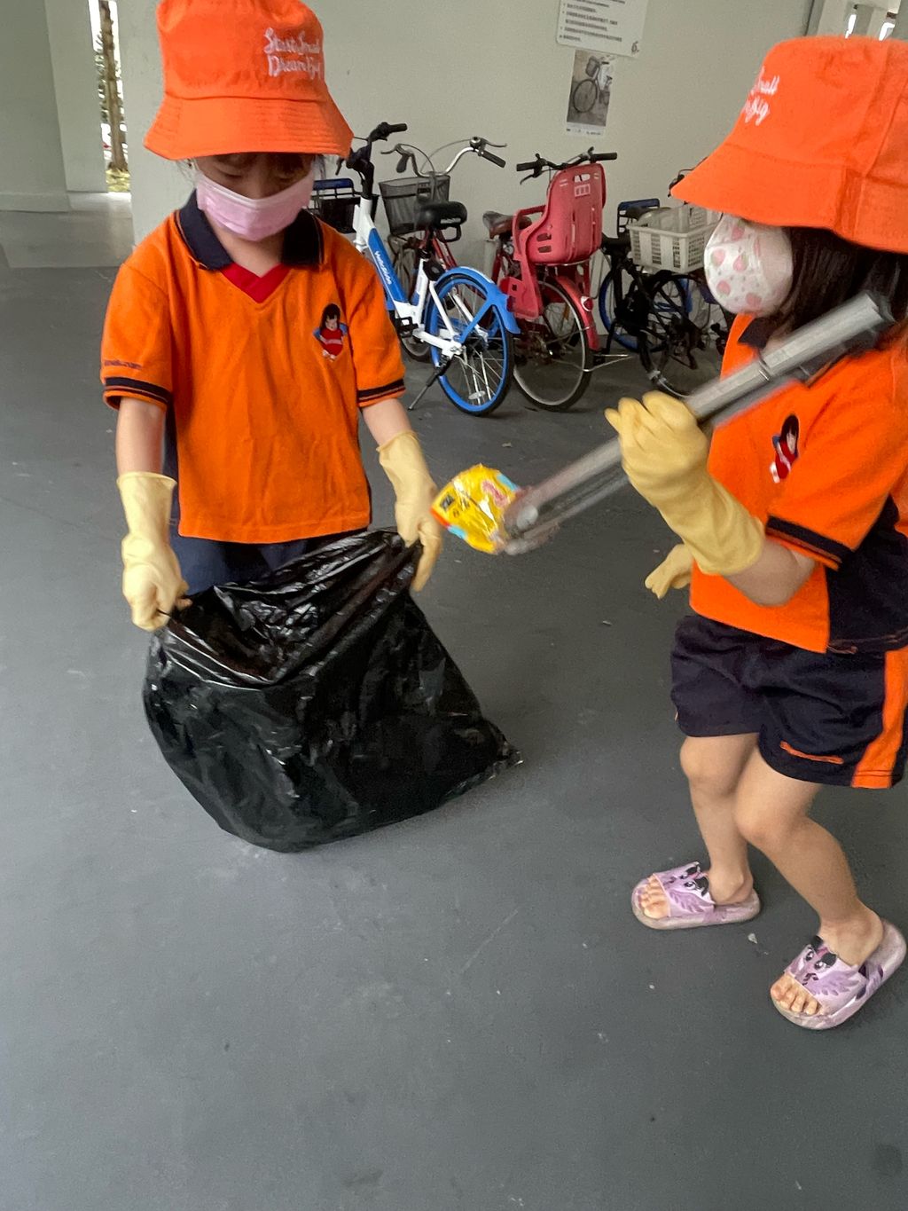 Keeping the environment clean & green! — photo 5