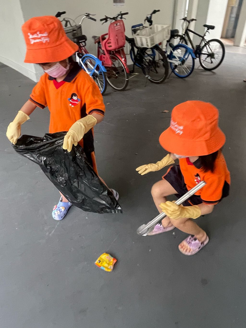 Keeping the environment clean & green! — photo 12